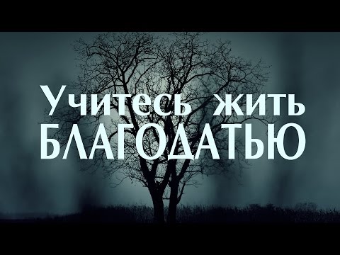 Видео: Проповедь: "Учитесь жить благодатью" (Вениамин Портанский)