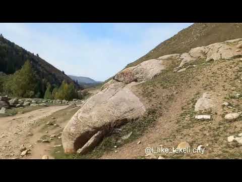 Видео: ТЕКЕЛИ ЧАЖА 19.09.2023