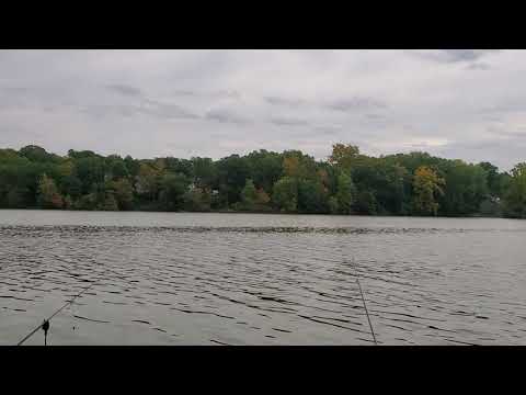 Видео: РЫБАЛКА В АМЕРИКЕ .Сколько Удочек Разрешено в Штате  Нью-Йорк Иметь На Рыбалке.?