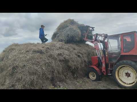 Видео: Сенокос -25 . Трактор т-25 . Завершение сезона. Копнушка с куном. Чай на природе. 
