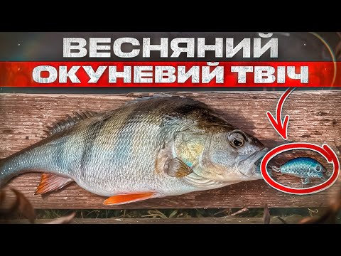 Видео: Воблер Для Окуня Навесні! Дивно, Але Факт!