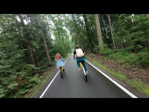 Видео: Брест и Беловежская пуща. август2023