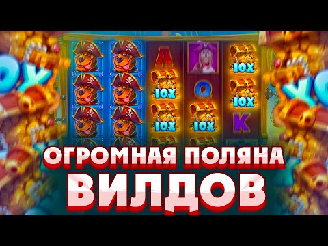 Видео: СЛОВИЛ ОГРОМНУЮ ПОЛЯНУ ВИЛДОВ И ОФОРМИЛ ЗАНОСИЩЕ В THE DOG HOUSE MUTTLEY CREW!!!