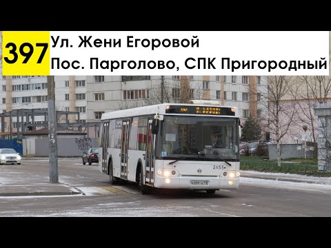 Видео: Автобус 397 "Пос. Парголово, СПК "Пригородный" - ул. Жени Егоровой"