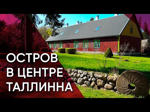 Видео: Аэгна – Советские пансионаты, береговые батареи и буддисты на острове в Таллинне | Эстония