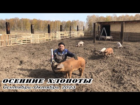 Видео: Осенние хлопоты. Сентябрь-Октябрь 2023