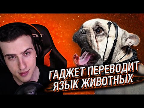 Видео: Hellyeahplay смотрит: Гаджет, Который Переводит Язык Животных