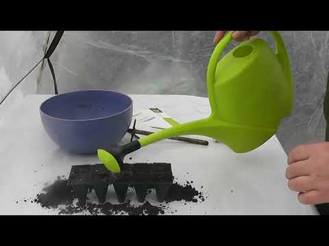 Видео: Перец посев на рассаду. Подробно о том как легко вырастить отменную рассаду перца. Советы агронома.