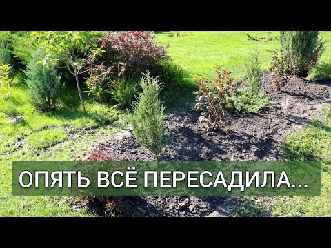Видео: ОПЯТЬ ВСЁ ПЕРЕСАДИЛА. 21.08.2025г.