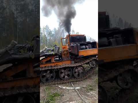 Видео: Тдт 55... экологическая катастрофа.