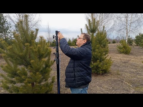 Видео: Новая КВ антенна для друга !