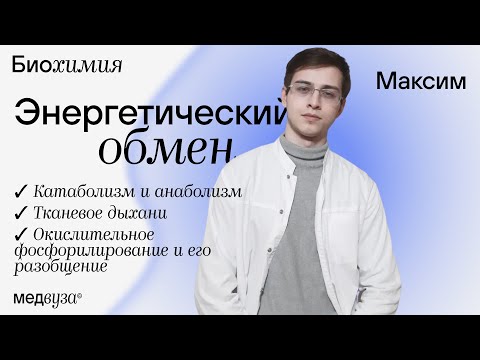 Видео: Энергетический обмен | Биохимия