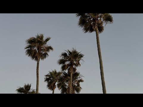 Видео: ВЛОГ ЗА ИЮНЬ | Привет из Калифорнии!