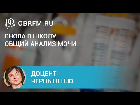 Видео: Доцент Черныш Н.Ю.: Снова в школу: общий анализ мочи