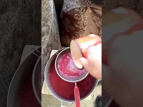 Видео: Самогон из кизила часть 1