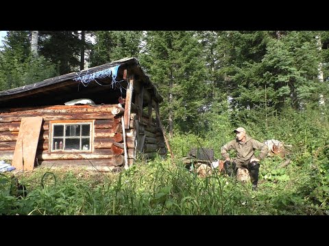 Видео: ТАЁЖНЫЙ ДЕНЬ. НАВЕСТИЛ ИЗБУ. КОПЧУ, ЖАРЮ ХАРИУСА.