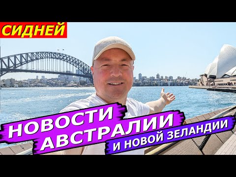Видео: Потеря пенсионных, Подорожание Электричества, Тюрьма с удобствами Угроза пожаров, Лягушка с ДНК ламы