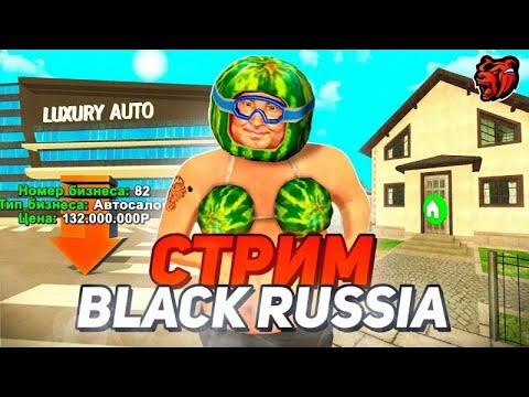 Видео: СТРИМ НА БЛЕК РАША /// АКТИВНО ПОДНИМАЕМ ДЕНЬГИ В КАЗ#НО
