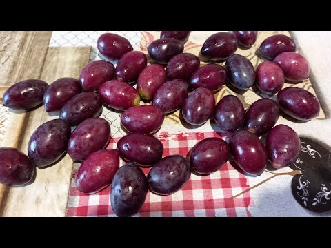 Видео: 192/ Направих маслини в саламура