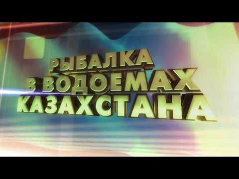 Видео: Ночная рыбалка на озере Балхаш