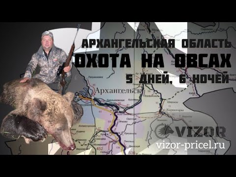 Видео: Охота на овсах. Медведь добыт.