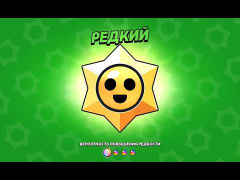 Видео: 4 ноября 2025 г.