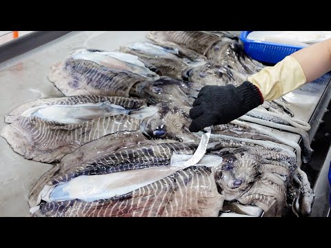 Видео: 15 тонн в день! Процесс массового производства шариков фараона из каракатицы - Пищевая фабрика