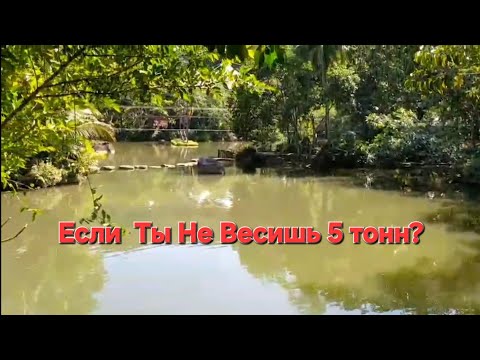 Видео: Хайнань-парк Янода можно сэкономить 100$?