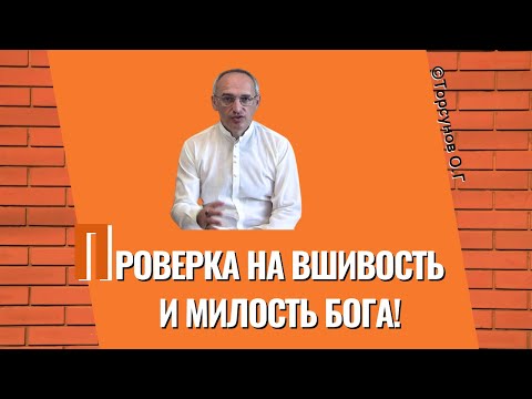 Видео: Проверка на вшивость и милость Бога! Торсунов лекции
