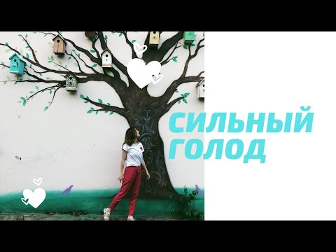 Видео: КАК НЕ ПЕРЕЕДАТЬ, КОГДА СИЛЬНО ГОЛОДЕН?