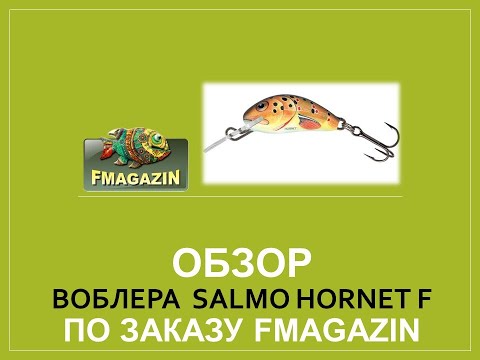 Видео: Обзор воблера  Salmo Hornet F по заказу Fmagazin