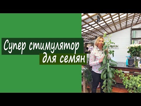 Видео: Супер стимулятор для семян