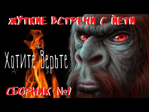 Видео: Жуткие встречи с Йети.Сборник№1.Рассказы очевидцев.