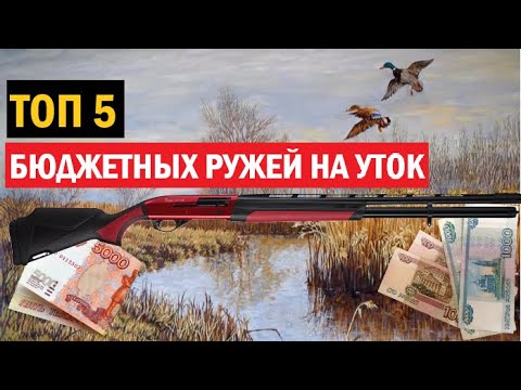 Видео: 💥 ТОП 5 ЛУЧШИХ БЮДЖЕТНЫХ РУЖЕЙ НА УТОК