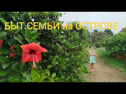 Видео: 90. Хутор на Сицилии. Огород, рыба, животные.