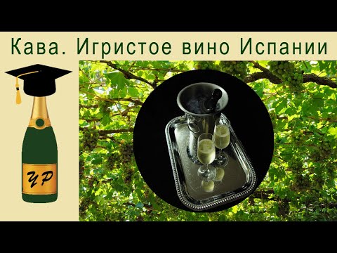 Видео: Кава. Игристое вино Испании