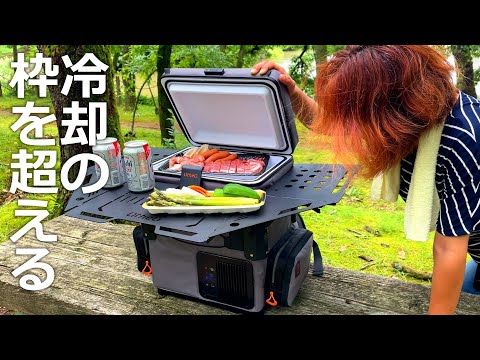 Видео: Что такое портативный холодильник FrozenPack Wild? | 5-сторонний транспортный стиль