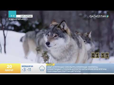 Видео: "3 МИНУТТА 1 КІТАП».ОРАЛХАН БӨКЕЙ «ҚАСҚЫР ҰЛЫҒАН ТҮНДЕ"