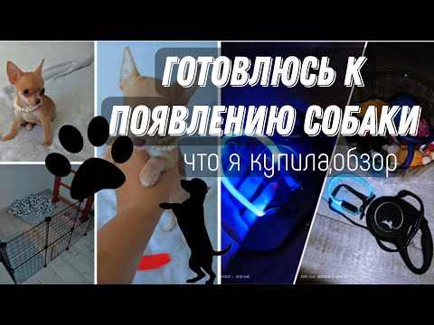 Видео: готовлюсь к появлению собаки | обзор покупок