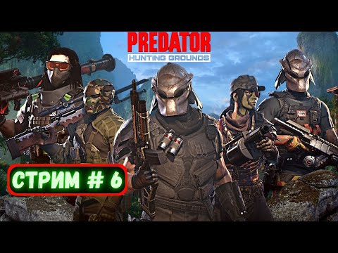 Видео: Predator Hunting Grounds ➤ СТРИМ #6 #predator