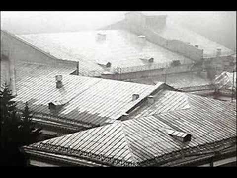 Видео: Тёплые коты