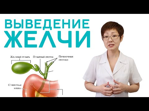 Видео: Выведение желчи | Доктор Ирина Мироновна