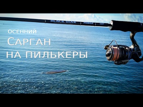 Видео: Осенний САРГАН | Ловля на Пилькеры | ЧЕРНОЕ МОРЕ