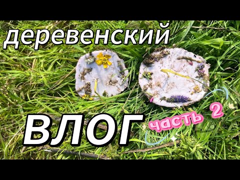 Видео: ДЕРЕВЕНСКИЙ ВЛОГ (часть 2)