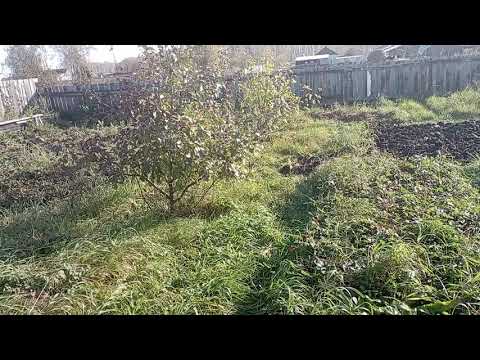 Видео: Германия.и после жизни не дают воли.