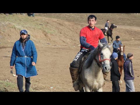 Видео: Бузкаши д.Охток 04.01.2023