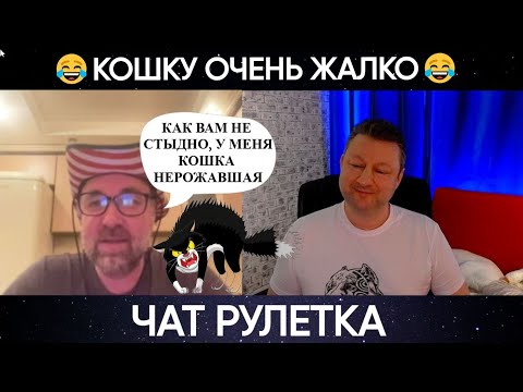Видео: Нерожавшая кошка 😂 (юмор) чат рулетка