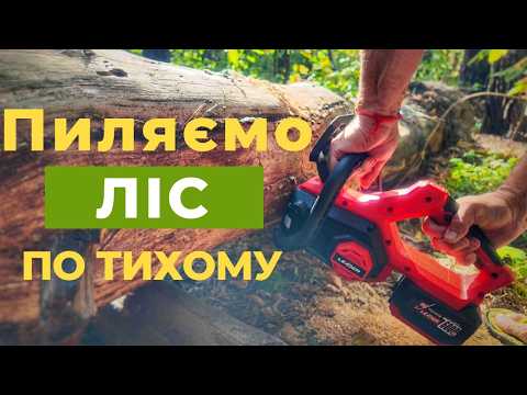 Видео: Акумуляторна пила  LEADER Comfort BL20 10 перевершила всі очікування
