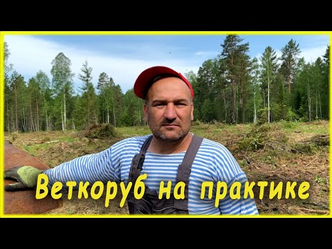 Видео: Веткоруб на практике