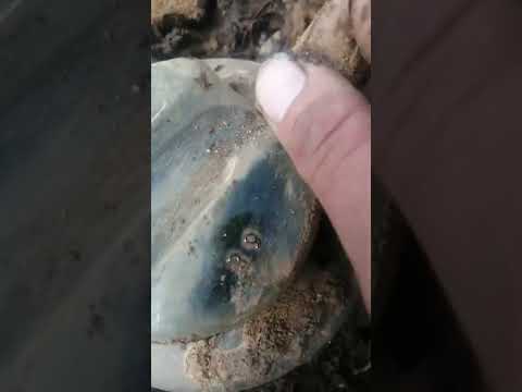 Видео: Обнаружил изоляторы, у старой вл 10 кв, шс 10 г, и шф